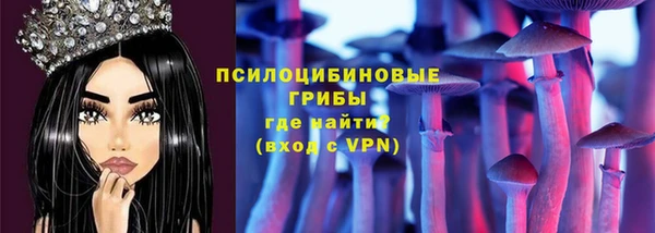 ECSTASY Алзамай