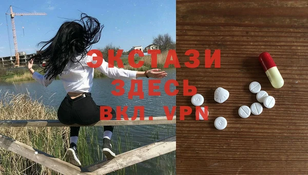 ECSTASY Алзамай