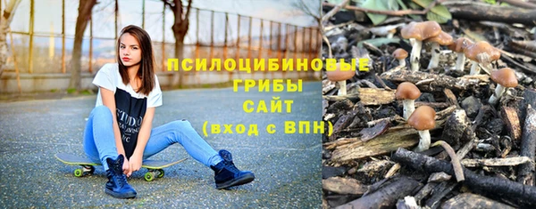 ECSTASY Алзамай