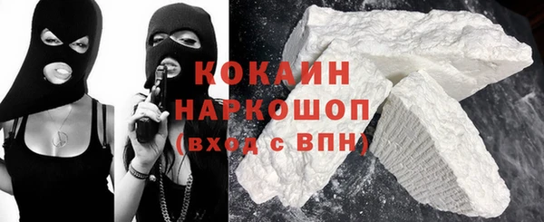 ECSTASY Алзамай